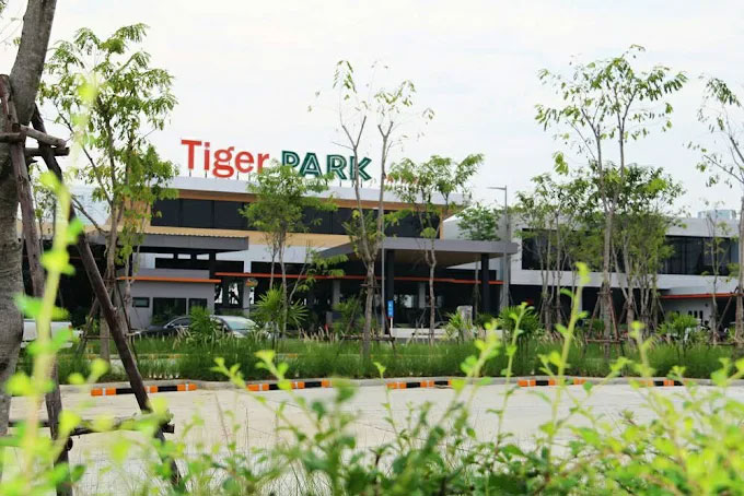 Tiger Park Pattaya